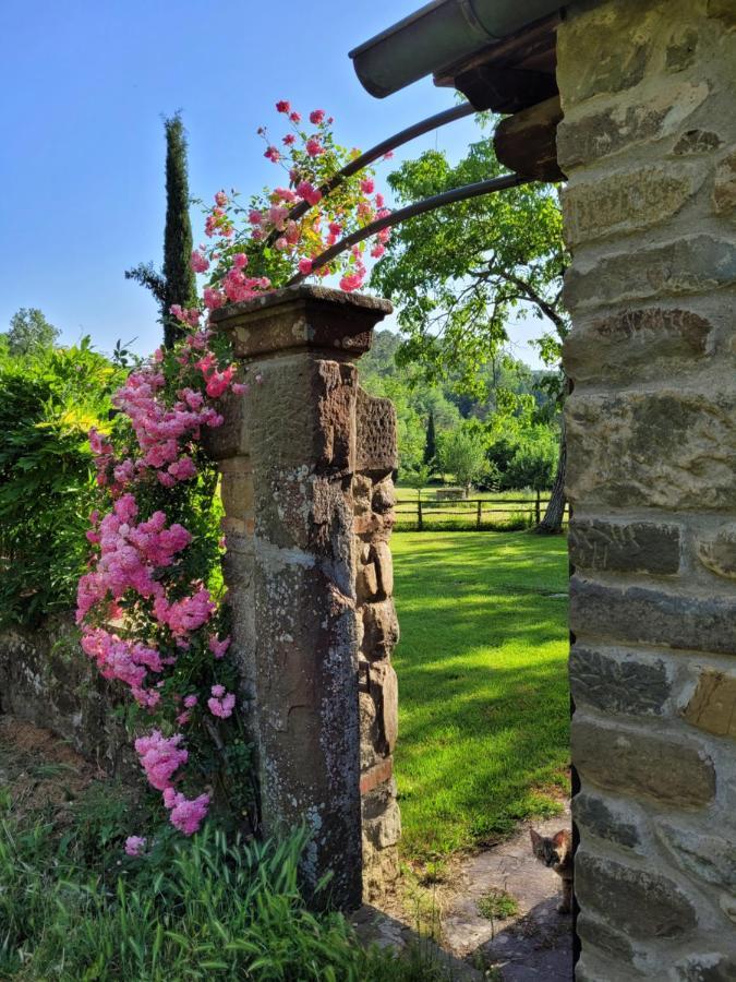 La Casa Nel Chianti Apartment Greve in Chianti Exterior photo