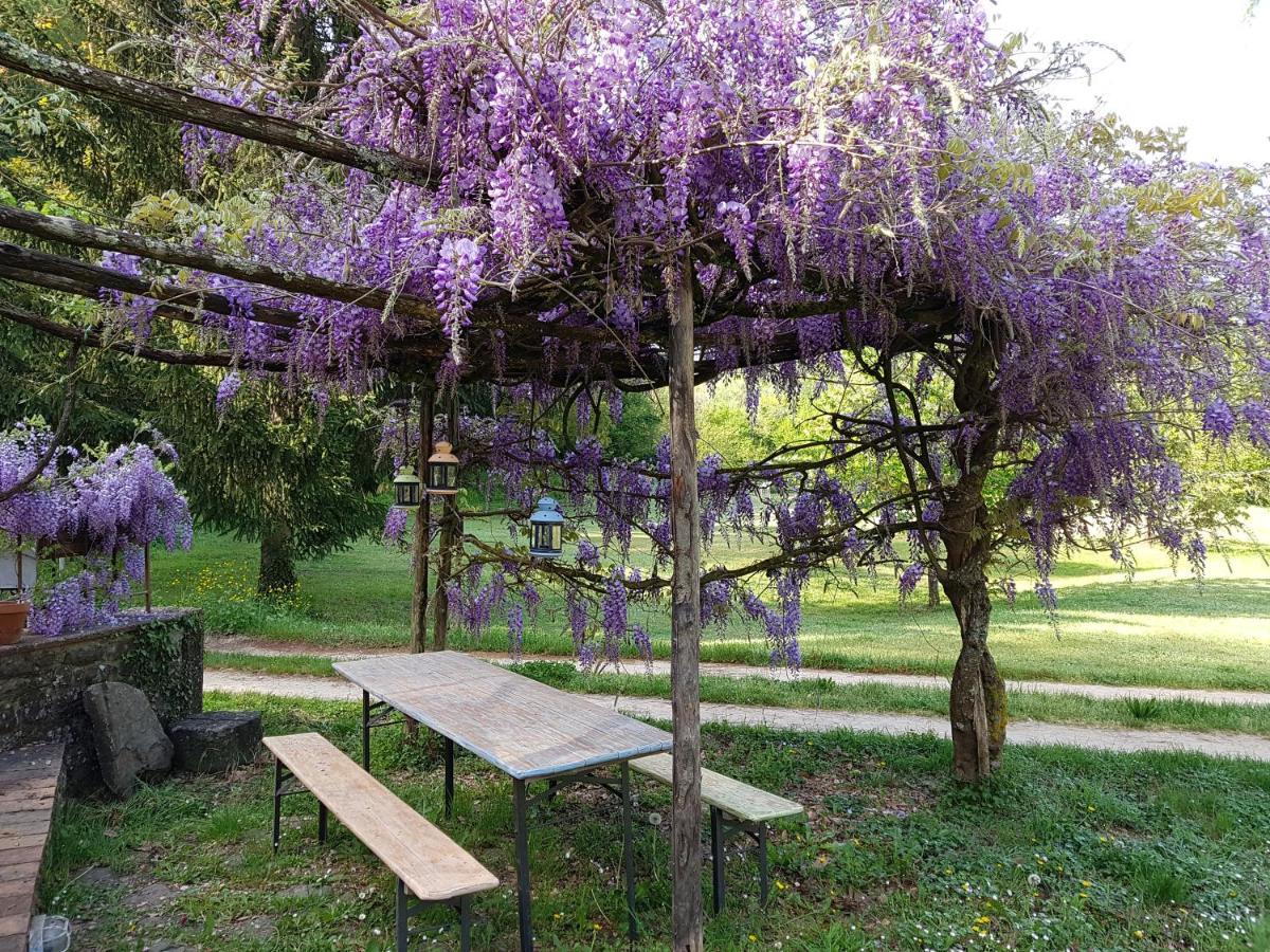 La Casa Nel Chianti Apartment Greve in Chianti Exterior photo